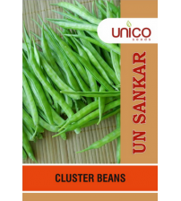 Clusterbean / Guar UN Sankar 100 grams